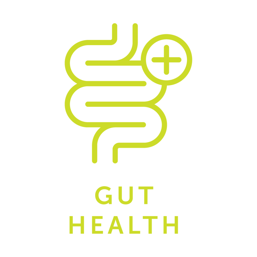 Gut Health