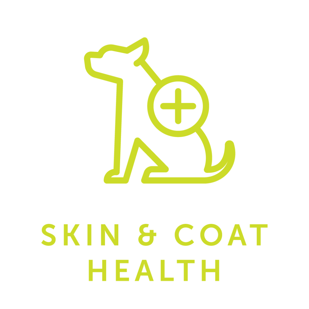 Skin and Coat Health